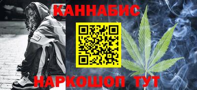 spice Кингисепп