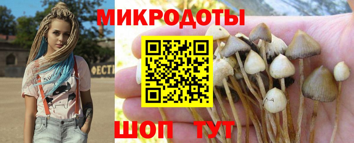 Псилоцибиновые грибы Cubensis  Вход с VPN  Кудымкар 